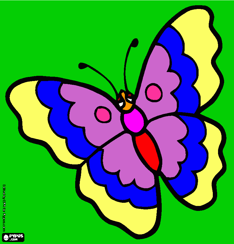 Omalovánka barevný motýl na zeleném pozadí