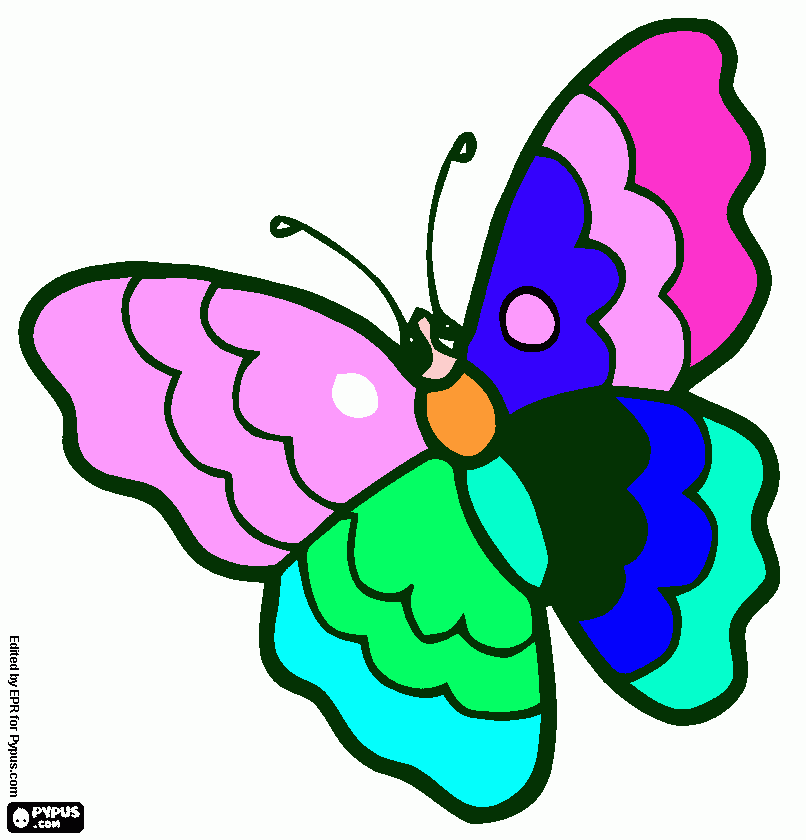 Omalovánka Motýl evička