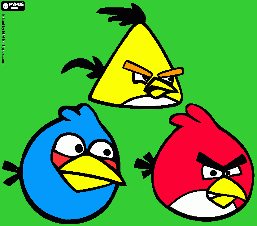 Omalovánka Andy birds