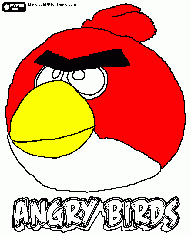 Omalovánka birdak