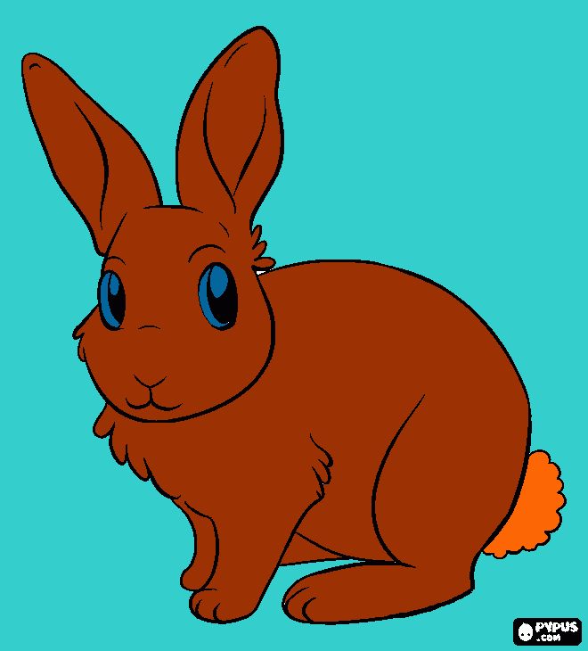 Omalovánka Bunnýsek