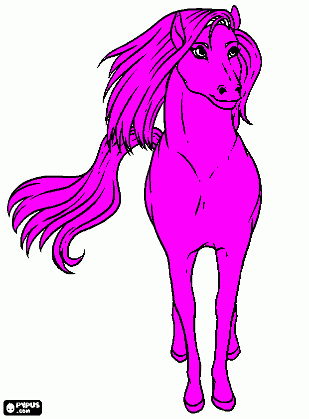 Omalovánka fialový koník