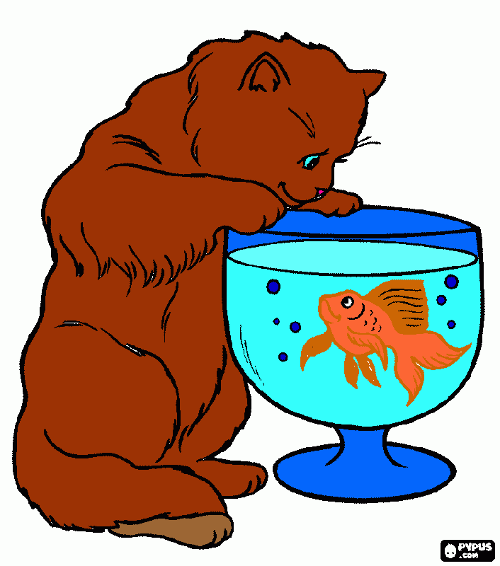 Omalovánka kočička s rybičkou