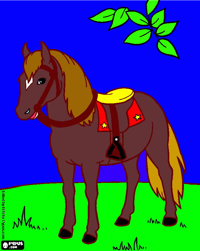Omalovánka kůň Peťka
