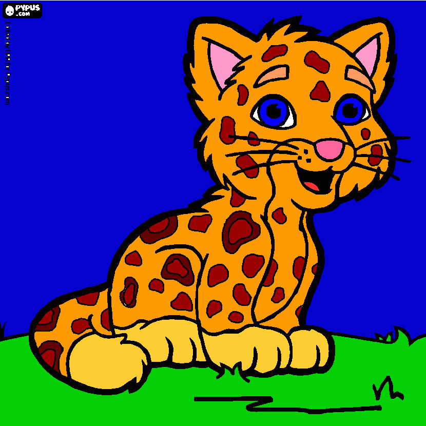 Omalovánka leopard