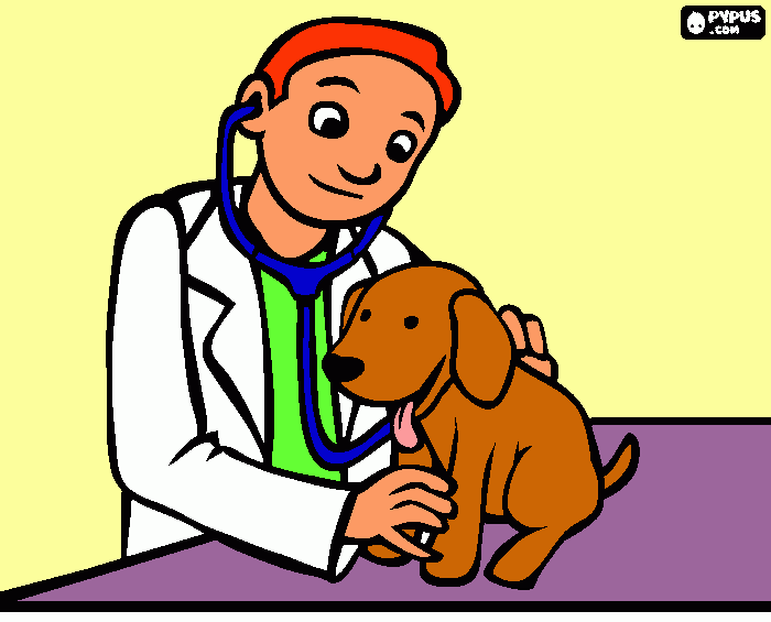 Omalovánka můj pejsek u pana doktora