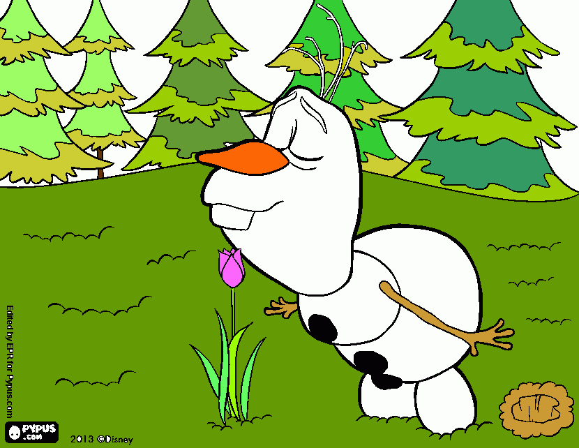 Omalovánka Olaf