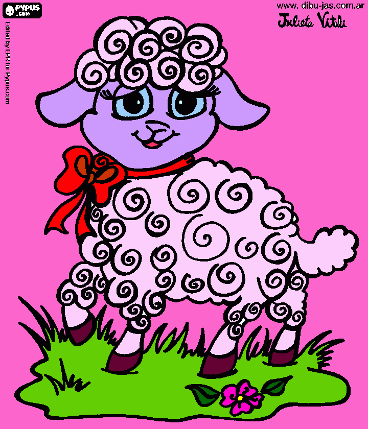 Omalovánka ovečka