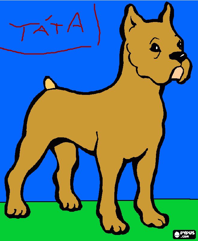 Omalovánka pro tatínka