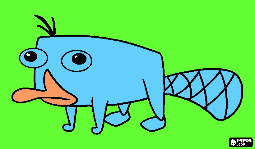 Omalovánka Ptakopysk Perry v trávě