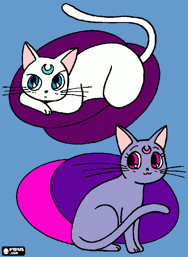 Omalovánka rarity