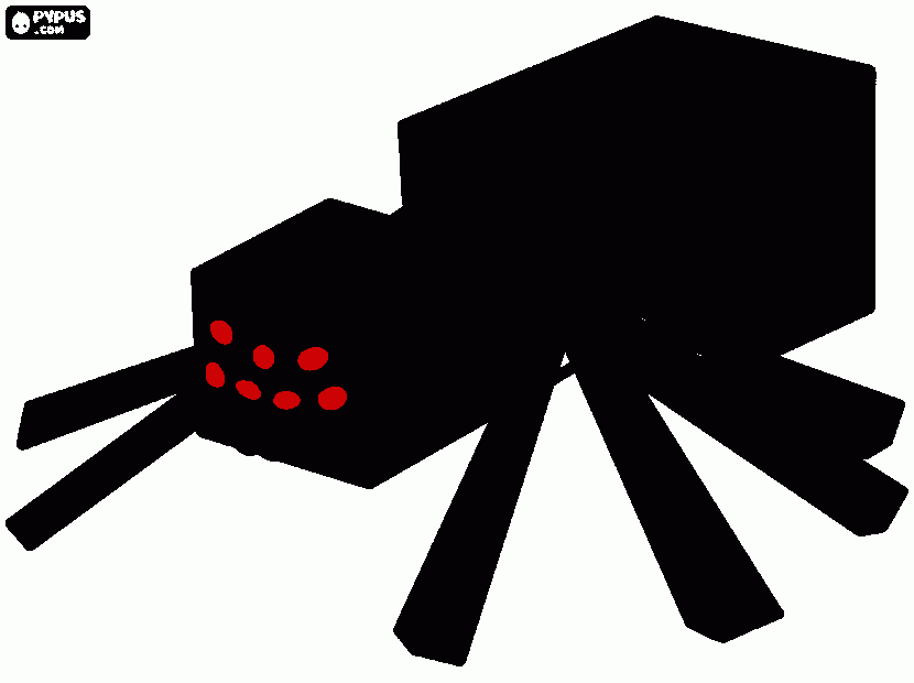 Omalovánka spider