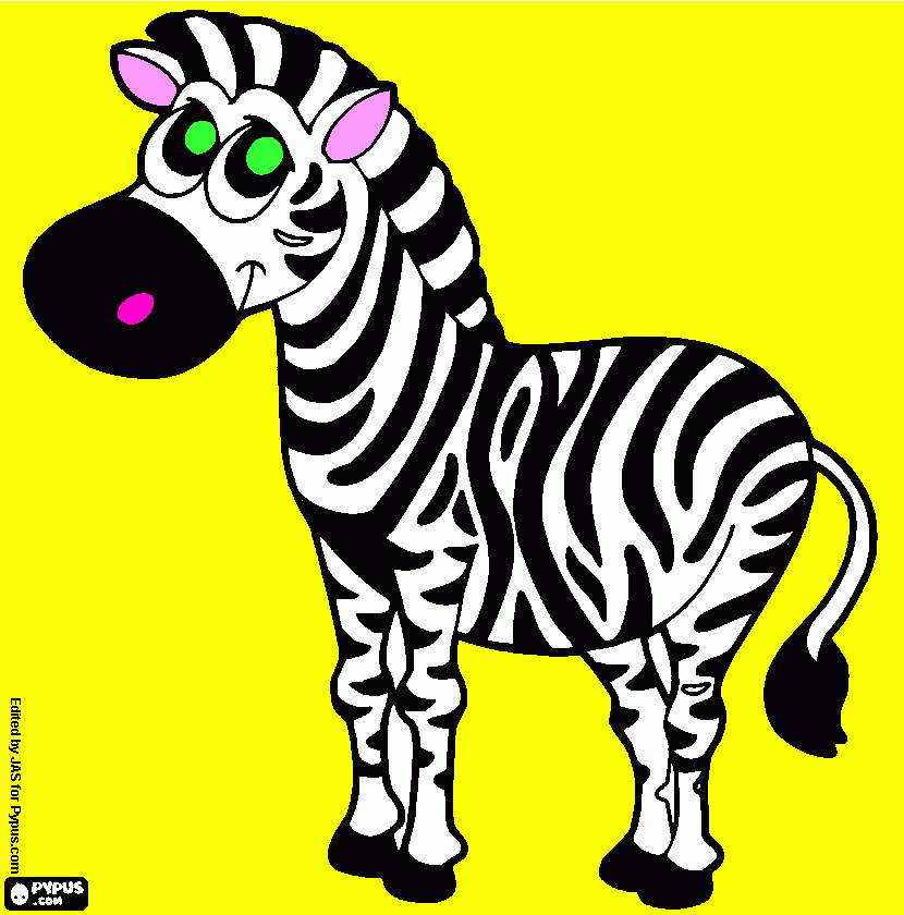Omalovánka zebra proužek