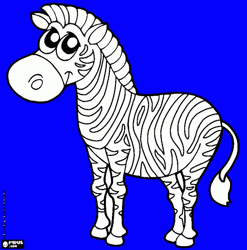 Omalovánka zebra