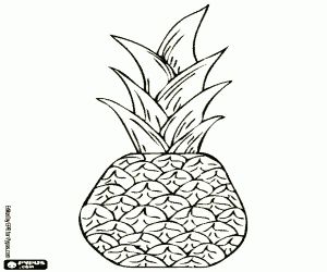 Omalovánka Ananas, tropické ovoce