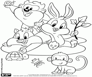 Omalovánka Baby Looney Tunes s málo zvířaty