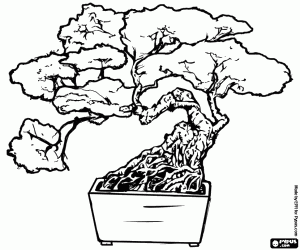 Omalovánka Bonsai, japonské umění