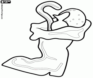 Omalovánka Bota Santa Claus s dárky