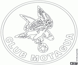 Omalovánka CD Motagua emblém