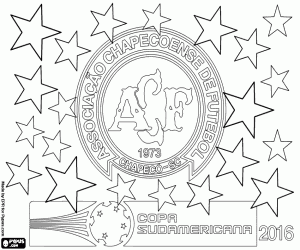 Omalovánka Chapecoense, Copa Sudamericana 2016