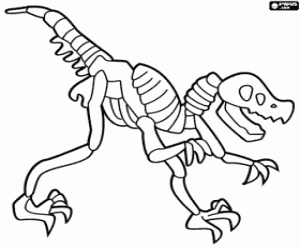 Omalovánka Dinosaur Skeleton