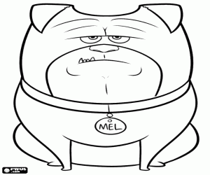 Omalovánka Doprovodný pes, Mel