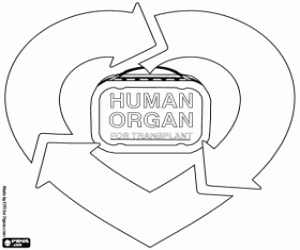 Omalovánka Dárcovství a transplantace orgánů