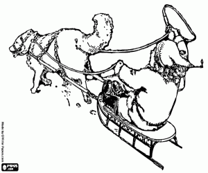 Omalovánka Dítě na saních s husky