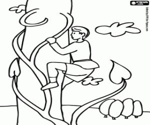 Omalovánka Jack a stonek fazole