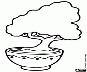 Omalovánka Japonské bonsaje