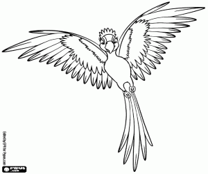 Omalovánka Jewel se vychloubá její peří