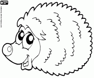 Omalovánka Ježek