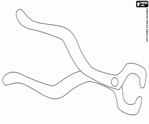 Omalovánka Kleště k zubaři