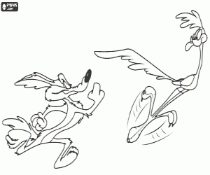 Omalovánka Kojot a Road Runner