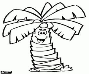 Omalovánka Kokosové palmy, palmy s kokosy