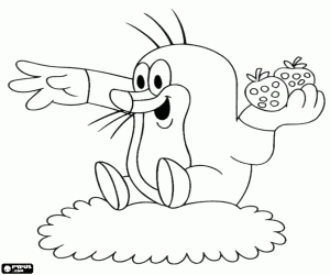 Omalovánka Krtek Krteček s jahodami v ruce