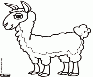 Omalovánka Lama, zvíře Inků