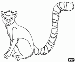 Omalovánka Lemur, Madagaskar je ostrov