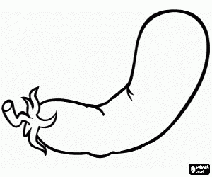 Omalovánka Lilek, jedlé plody