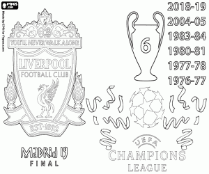 Omalovánka Liverpool, Champions League 2019