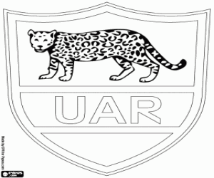 Omalovánka Logo argentinských rugby tým