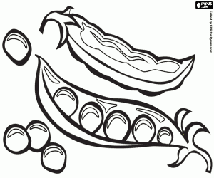 Omalovánka Lusků a hrachové lusky