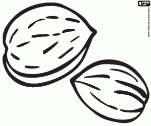 Omalovánka Mandle, kulinářských složky