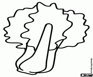 Omalovánka Mangold, jedlá rostlina