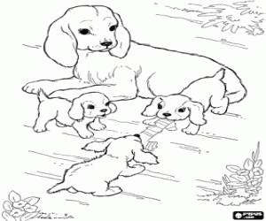 Omalovánka Matka psa s její mláďata