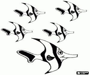 Omalovánka Mnoho ryb a korálové útesy