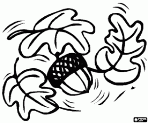 Omalovánka Některé dubové listy a žalud