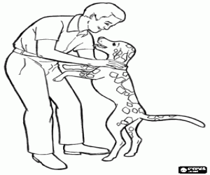 Omalovánka Otec se svým psem, Den otců