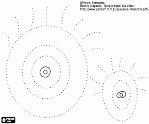 Omalovánka Oči na tečkovanou čáru