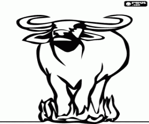 Omalovánka Pakůň na africké savany